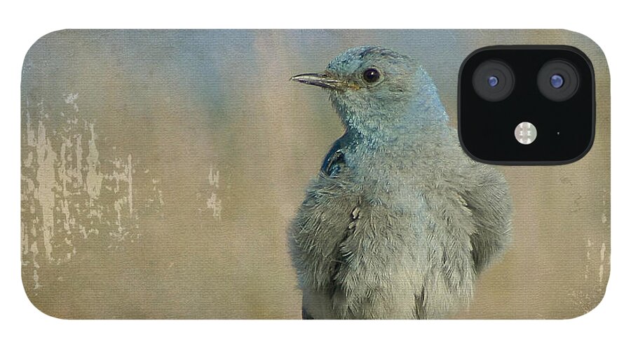Bird iPhone 12 Case featuring the photograph Blue Bird by Teresa Zieba
