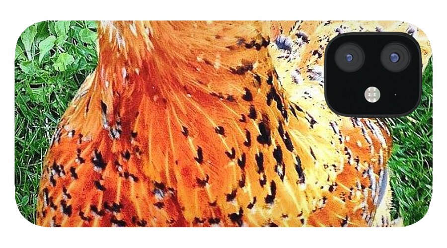 Fowl iPhone 12 Case featuring the photograph Chicken Zinger!!! #chicken #colour by Mark Thornton