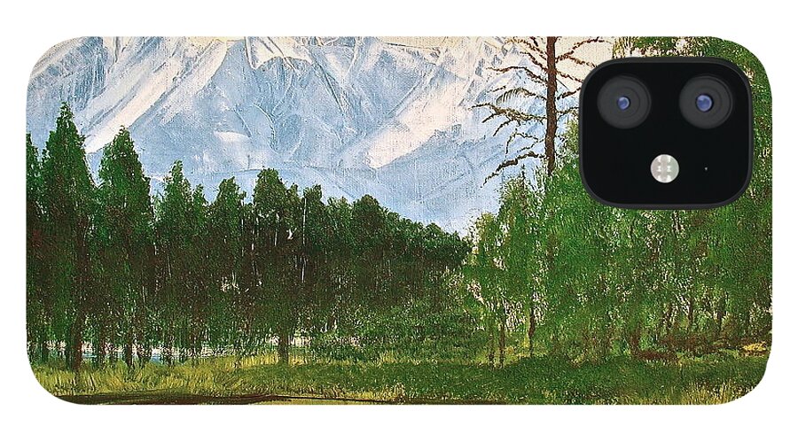 Mountains iPhone 12 Case featuring the painting Duck Pond by Frank SantAgata