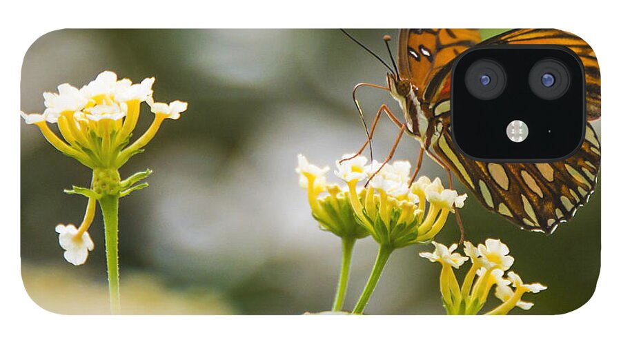 Insect iPhone 12 Case featuring the photograph Got Pollen by Theodore Jones