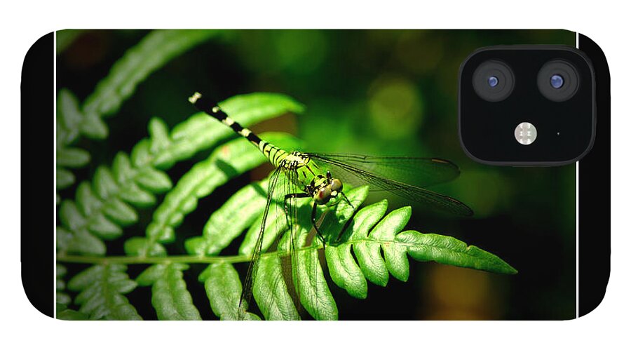 Dragonfly iPhone 12 Case featuring the photograph Green Dragon 2 by David Weeks