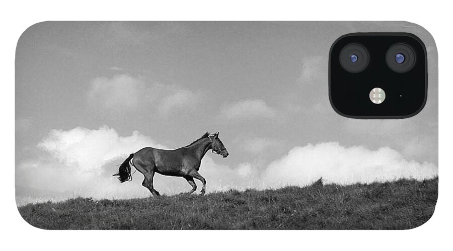 Landscape iPhone 12 Case featuring the photograph Hilltop Gallop by Jean Macaluso