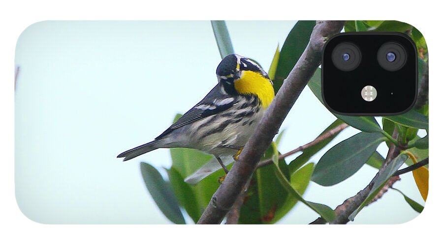 Yellow Throated Warbler iPhone 12 Case featuring the photograph Inquisitive Yellow throated warbler by Barbara Bowen