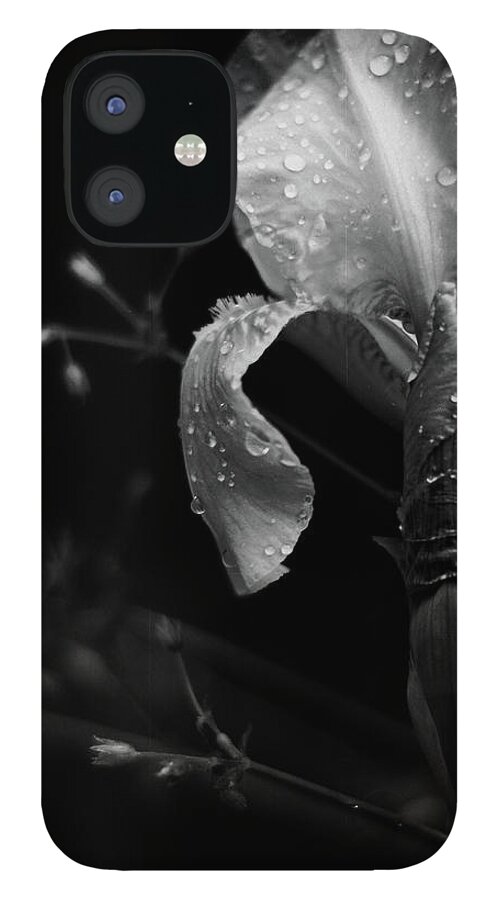 black And White iPhone 12 Case featuring the photograph Iris Adorned by Rebecca Sherman