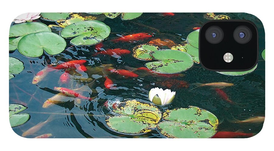 Koi Pond/koi/water Lillies/pond iPhone 12 Case featuring the photograph Lilly Dance by Dan Menta