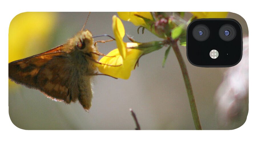 Moth iPhone 12 Case featuring the photograph Moth Life by Chriss Pagani