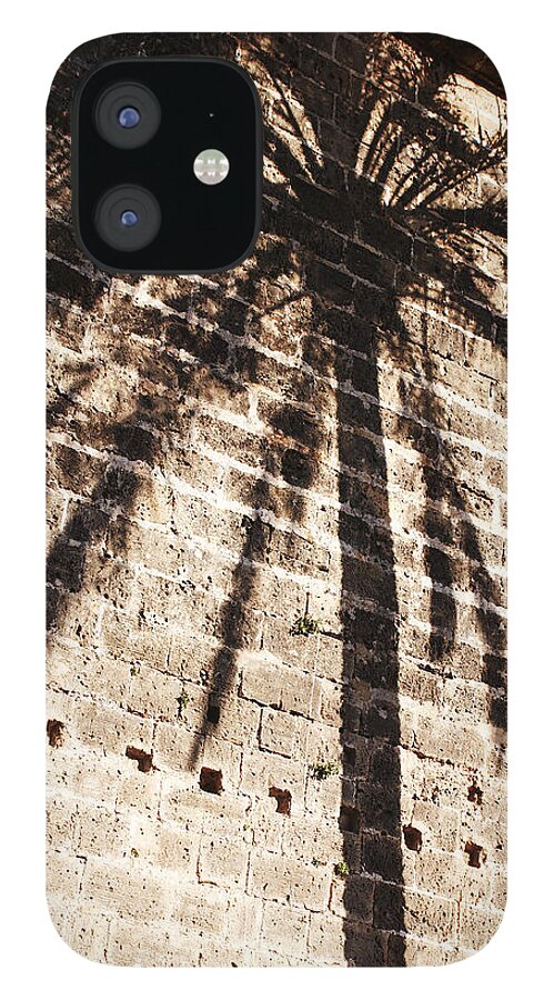 Palmera iPhone 12 Case featuring the photograph Palm shadow by Agusti Pardo Rossello