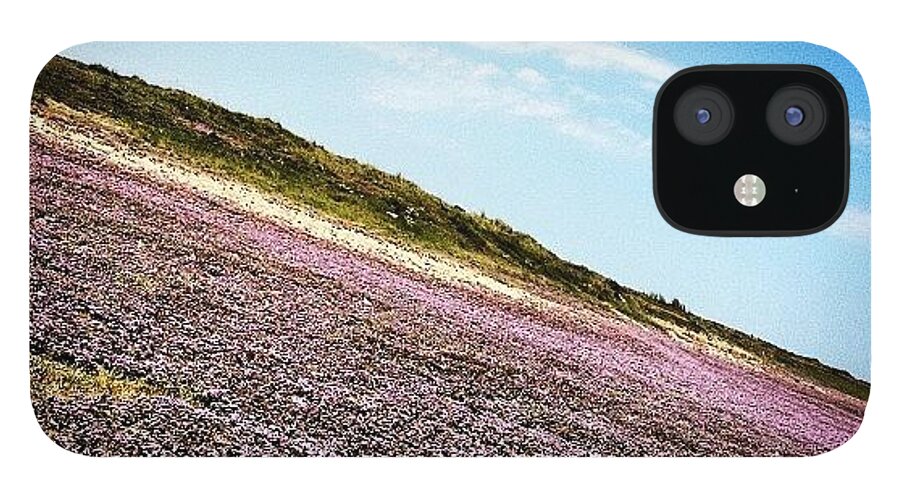  iPhone 12 Case featuring the photograph Purple Marsh Flowers by Mark Robertson