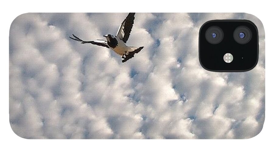 Bird iPhone 12 Case featuring the photograph Quilted Sky by Cameron Bentley