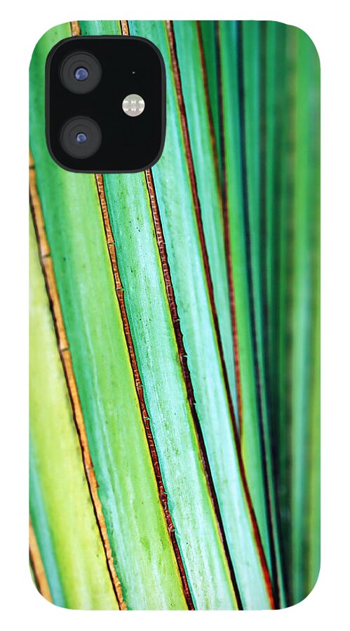Tropical iPhone 12 Case featuring the photograph Smooth Tropical Palm by Marilyn Hunt