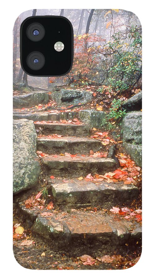Steps iPhone 12 Case featuring the photograph Steps Cloudland Canyon by Tom and Pat Cory