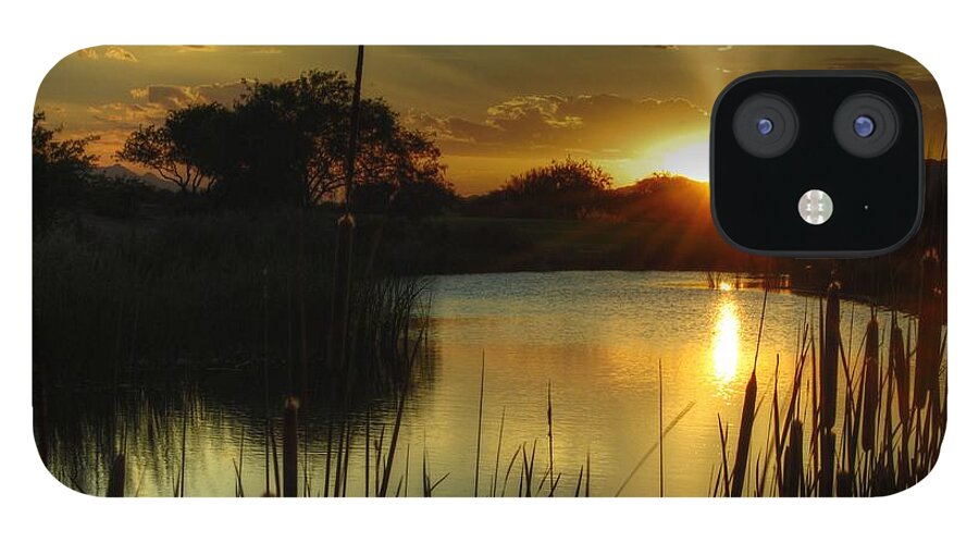 Pond iPhone 12 Case featuring the photograph Sunset and Cattails by Tam Ryan