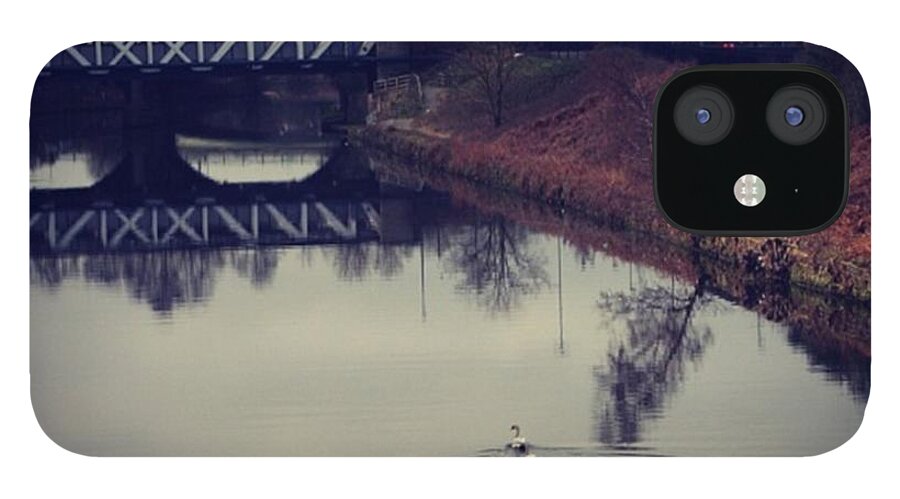  iPhone 12 Case featuring the photograph Swans On The Irwell, Salford Sunday by Chris Jones
