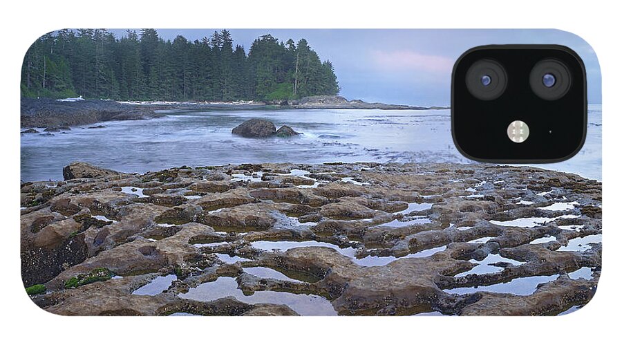 00175323 iPhone 12 Case featuring the photograph Tide Pools Exposed At Low Tide by Tim Fitzharris