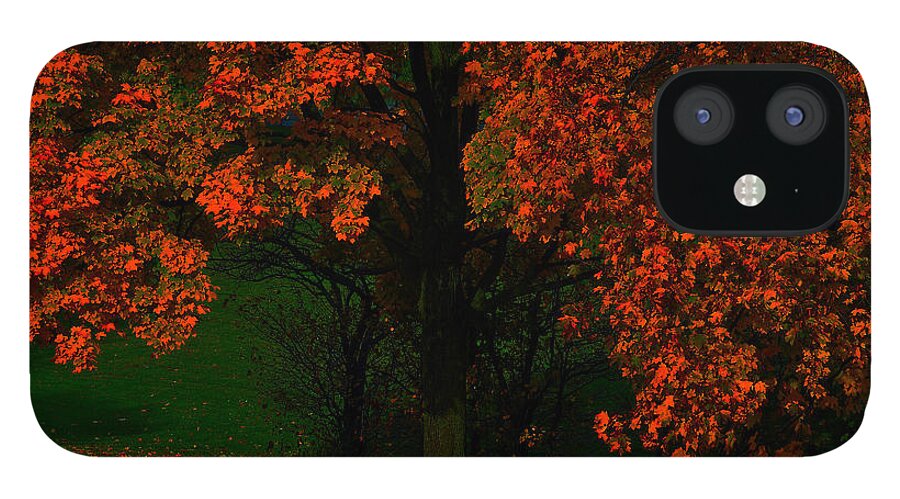Moonlight iPhone 12 Case featuring the photograph Tree by Dragan Kudjerski