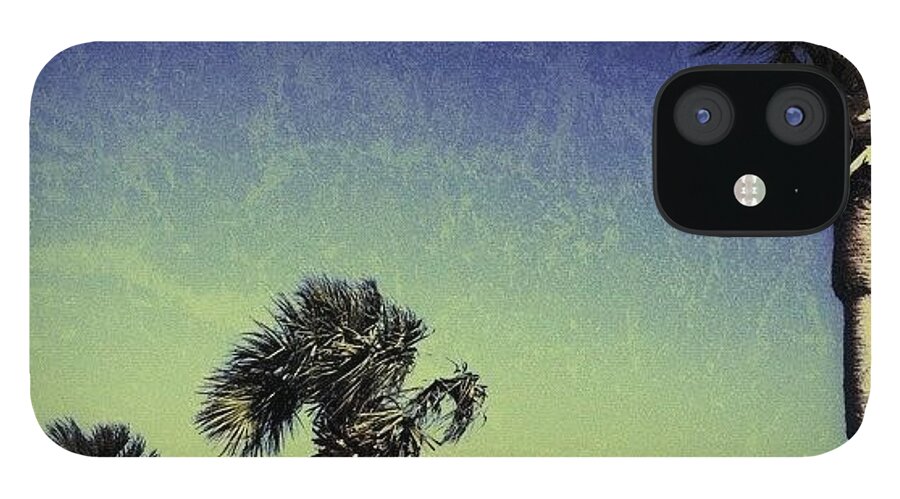 Nature iPhone 12 Case featuring the photograph #tropical #miami by Joel Lopez