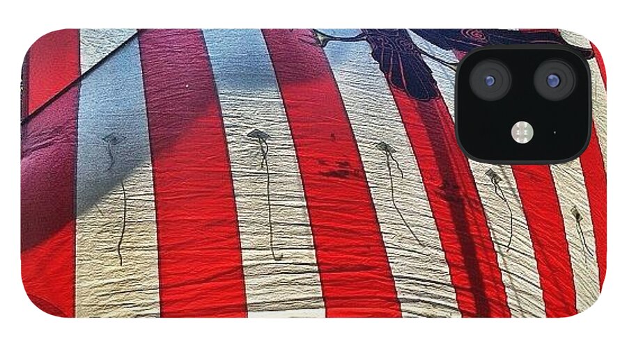 Mobilephotography iPhone 12 Case featuring the photograph Viking Flag @ Syttende Mai by Natasha Marco