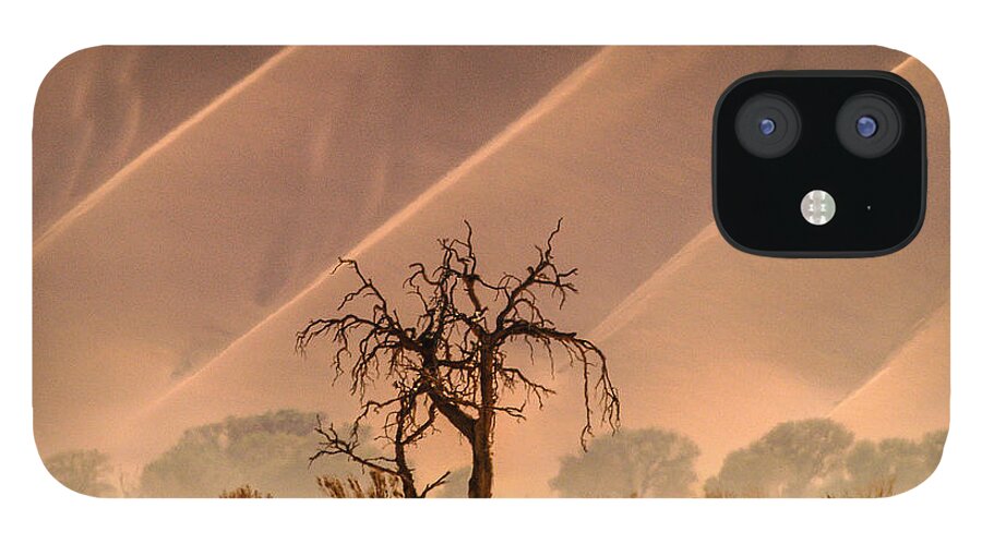 Africa iPhone 12 Case featuring the photograph Wave tree by Alistair Lyne