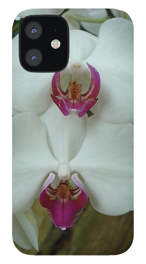 Orchid iPhone 12 Case featuring the photograph White Orchid by Charles and Melisa Morrison