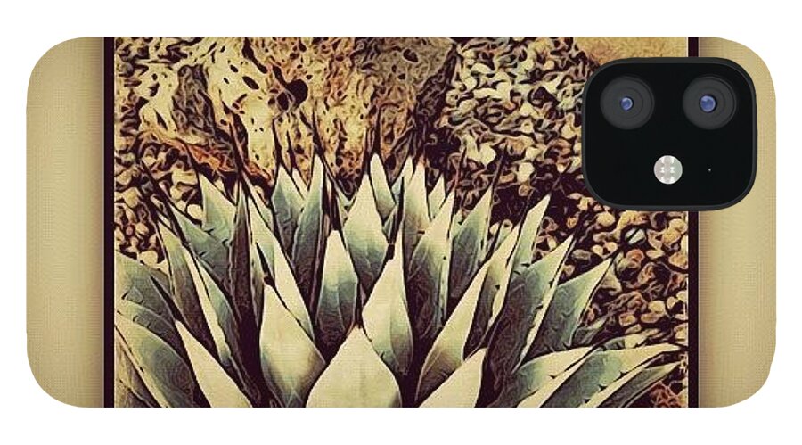 Plant iPhone 12 Case featuring the photograph Young Agave by Paul Cutright