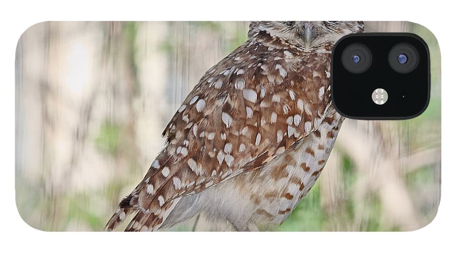 Birds Of Prey iPhone 12 Case featuring the photograph Burrowing Owl by Elaine Malott