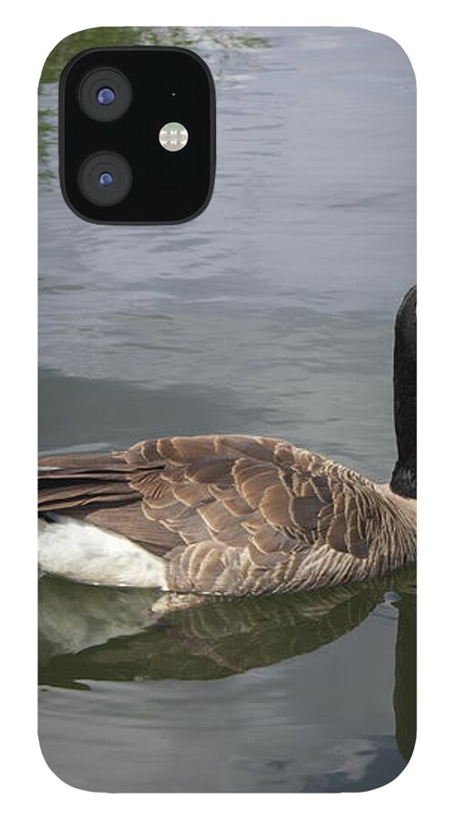Canada Goose iPhone 12 Case featuring the photograph Canada Goose #5 by Jean Evans