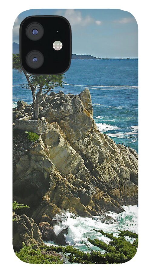 Cypress iPhone 12 Case featuring the photograph Cypress Point ll #1 by Richard Stedman