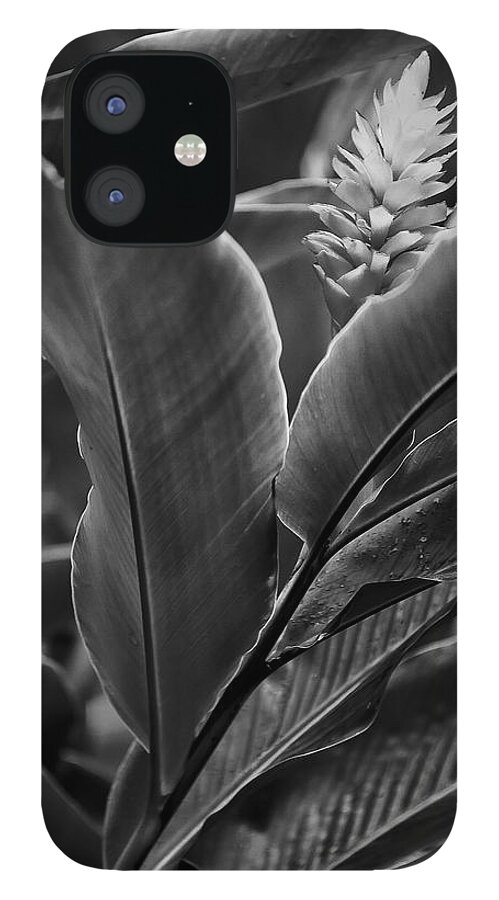Art iPhone 12 Case featuring the photograph I see You #2 by Jon Glaser
