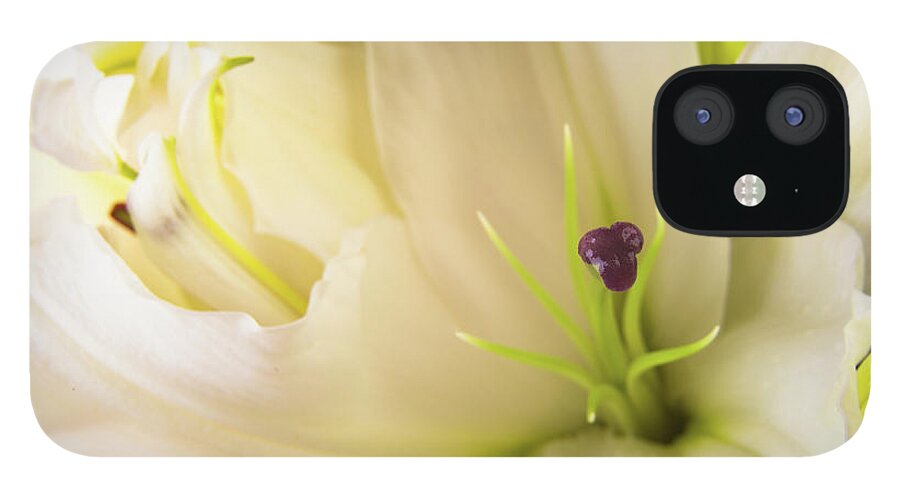 Alive iPhone 12 Case featuring the photograph Oriental Lily Flower #1 by Raul Rodriguez
