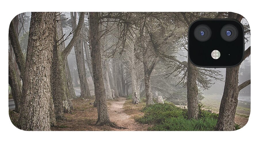 California iPhone 12 Case featuring the photograph Pathway #1 by Alice Cahill