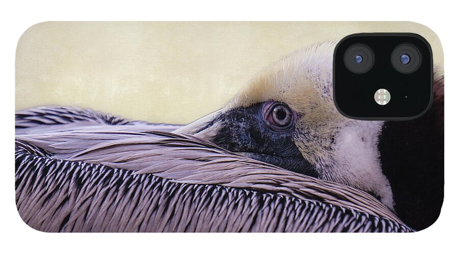 2016 iPhone 12 Case featuring the photograph Pelican Connection 2 #1 by Louise Lindsay