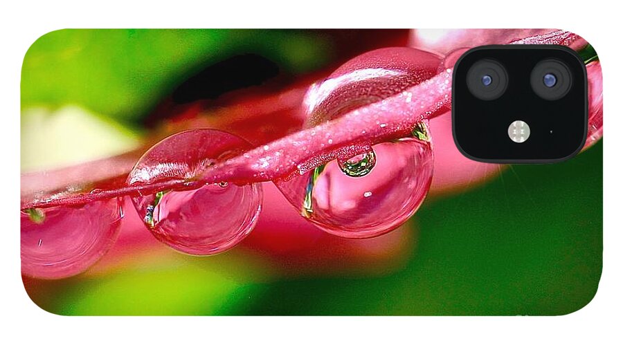 Macro iPhone 12 Case featuring the photograph Water Drop Reflection by Elisabeth Derichs