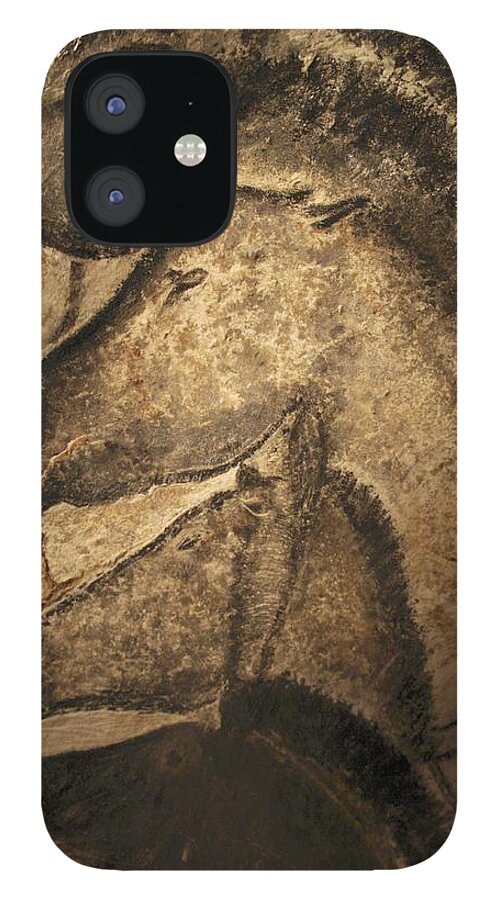 Animal iPhone 12 Case featuring the photograph Stone-age Cave Paintings, Chauvet, France #1 by Javier Truebamsf