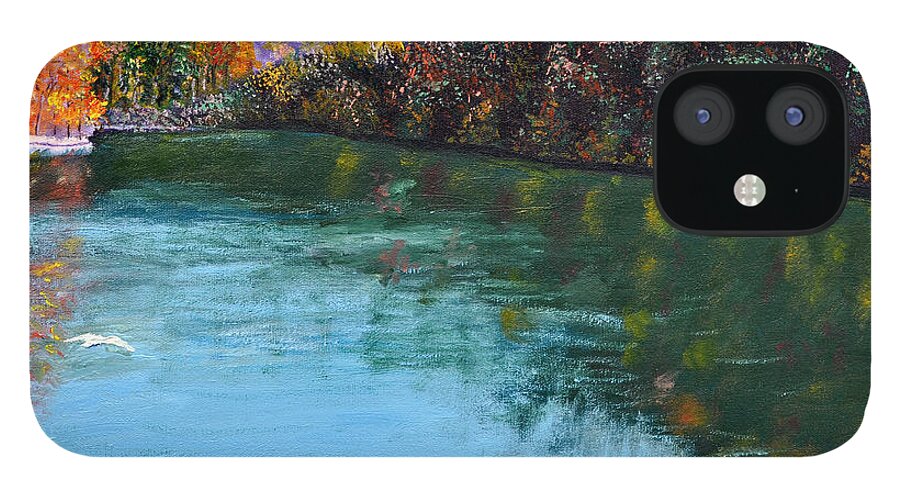 Lake iPhone 12 Case featuring the painting Hdemo1 #2 by Stan Hamilton