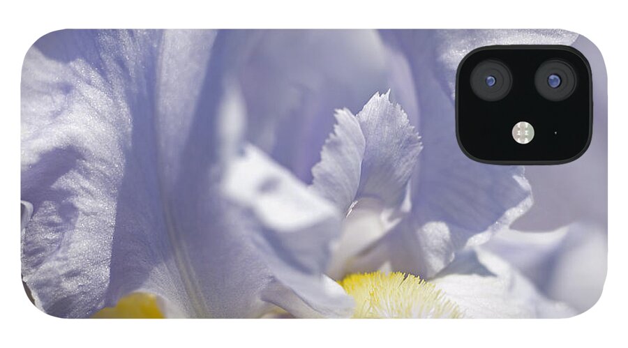 Genus Iris iPhone 12 Case featuring the photograph Iris Flowers #4 by Tony Cordoza