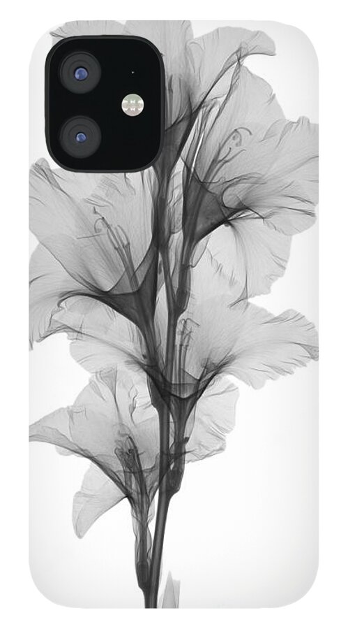 Xray iPhone 12 Case featuring the photograph X-ray Of A Gladiola Flower #3 by Ted Kinsman