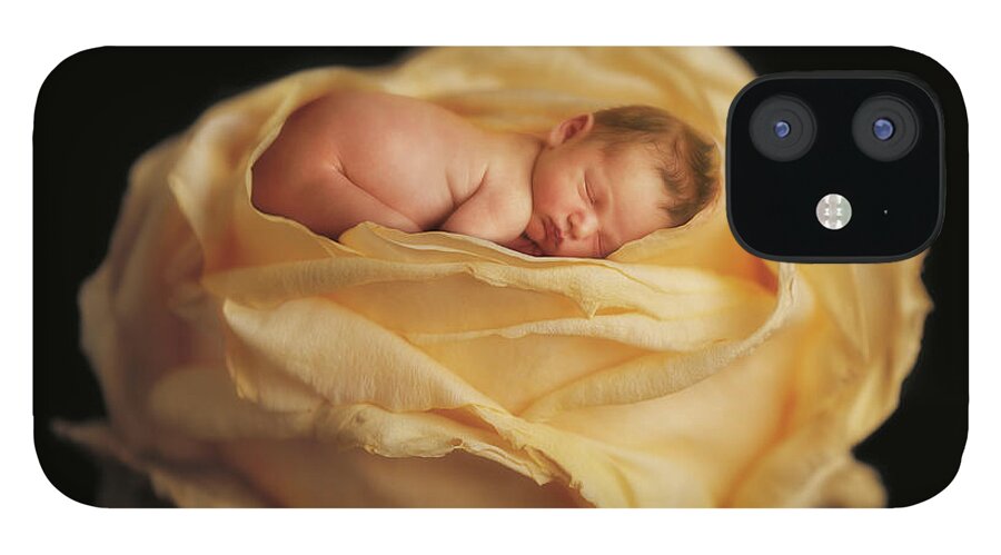 Rose iPhone 12 Case featuring the photograph Garden Rose by Anne Geddes