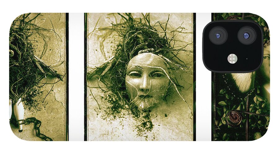 Triptych iPhone 12 Case featuring the photograph A Graft In Winter Triptych by David Chasey