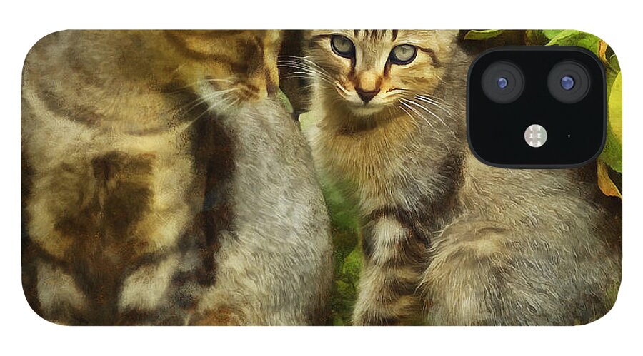 Cat iPhone 12 Case featuring the digital art A Pair of Feral Cats by JGracey Stinson