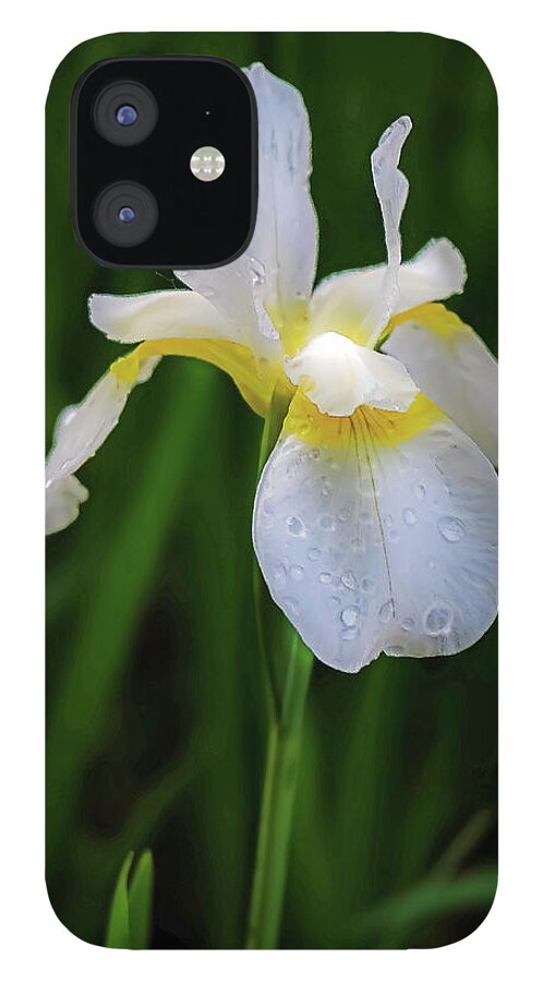  iPhone 12 Case featuring the photograph A simple purity by Kendall McKernon