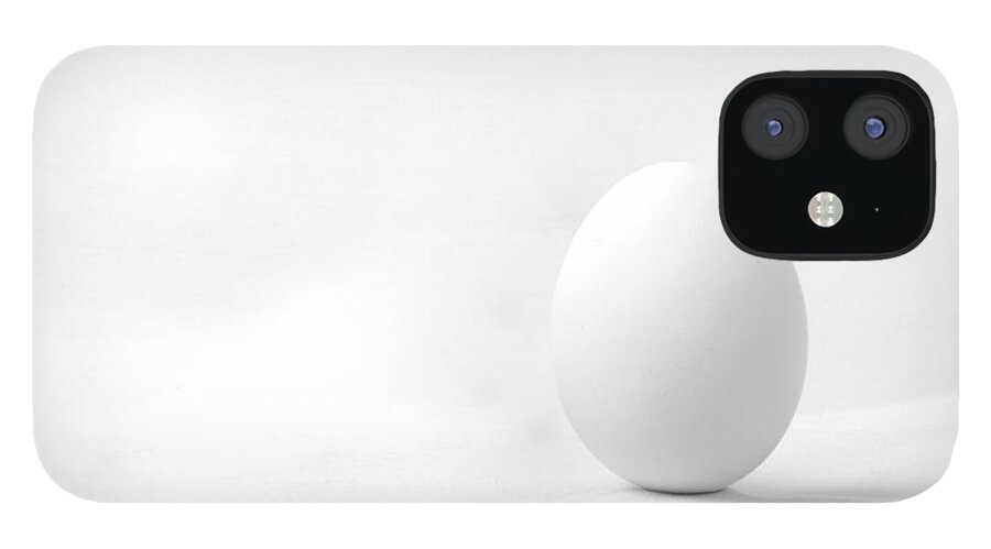 Black White Monochrome Egg Still Life Studio Abstract iPhone 12 Case featuring the photograph A Study in White by Ken DePue