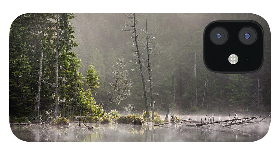 Art iPhone 12 Case featuring the photograph Adirondack Dream by Gary Migues