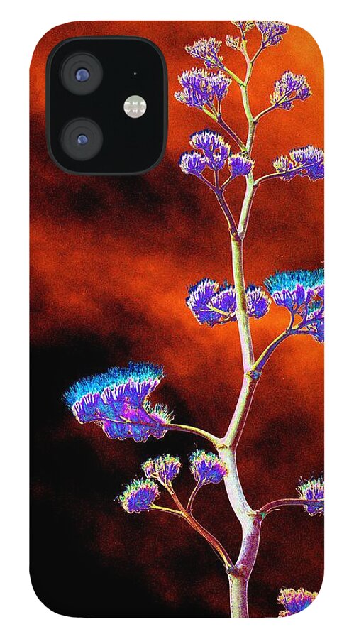 Agave iPhone 12 Case featuring the photograph Agave Through Tequila Eyes by Richard Henne