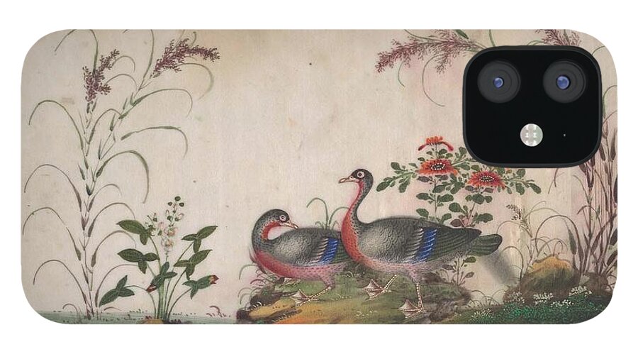 Album Containing Twelve Paintings Of Birds 2 iPhone 12 Case featuring the painting Album Containing Twelve Paintings of Birds by Eastern Accents
