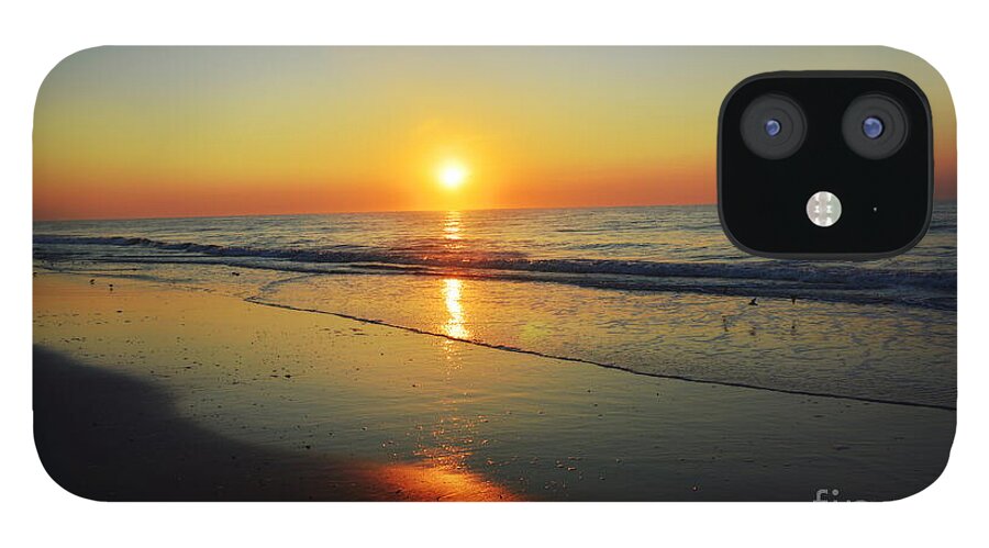 Robyn King iPhone 12 Case featuring the photograph All That Shimmers Is Golden by Robyn King
