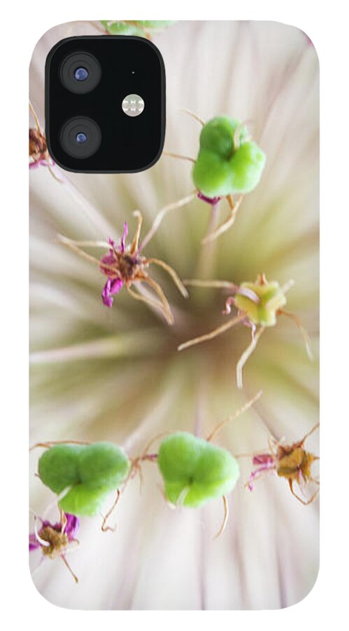 Allium iPhone 12 Case featuring the photograph Allium Zoom by Diane Fifield