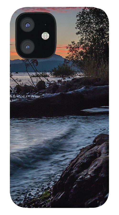 Lake Almanor iPhone 12 Case featuring the photograph Almanor Driftwood by Jan Davies