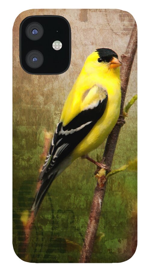 American Goldfinch iPhone 12 Case featuring the photograph American Goldfinch by Al Mueller