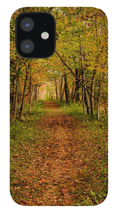 Autumn iPhone 12 Case featuring the photograph An Autumn's Walk by Kevin Senter