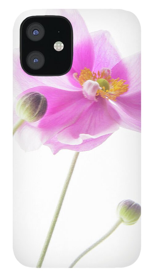 Anemone iPhone 12 Case featuring the photograph Anemone Babies by Diane Fifield